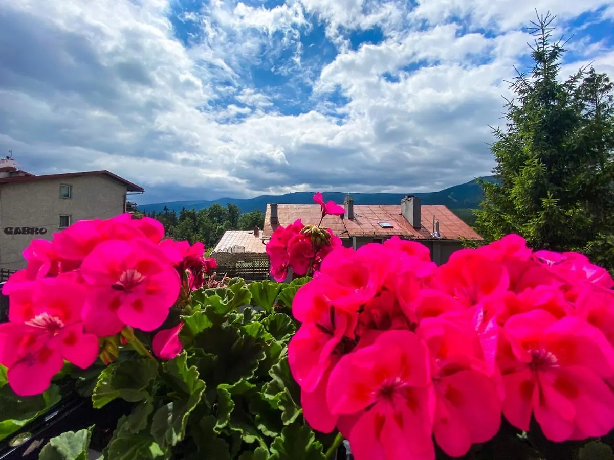** Bed & Breakfast Willa Sonata - Apartamenty & Balia - Szklarska Poreba Poland