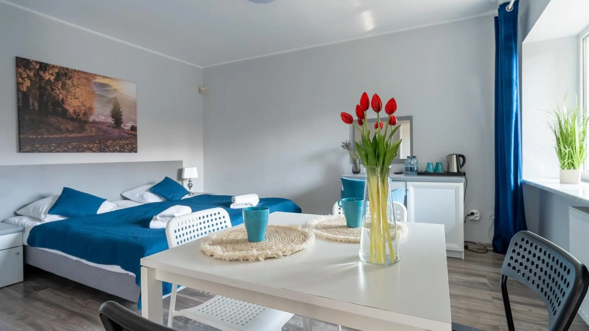 Bed & Breakfast Willa Sonata - Apartamenty & Balia - Szklarska Poreba